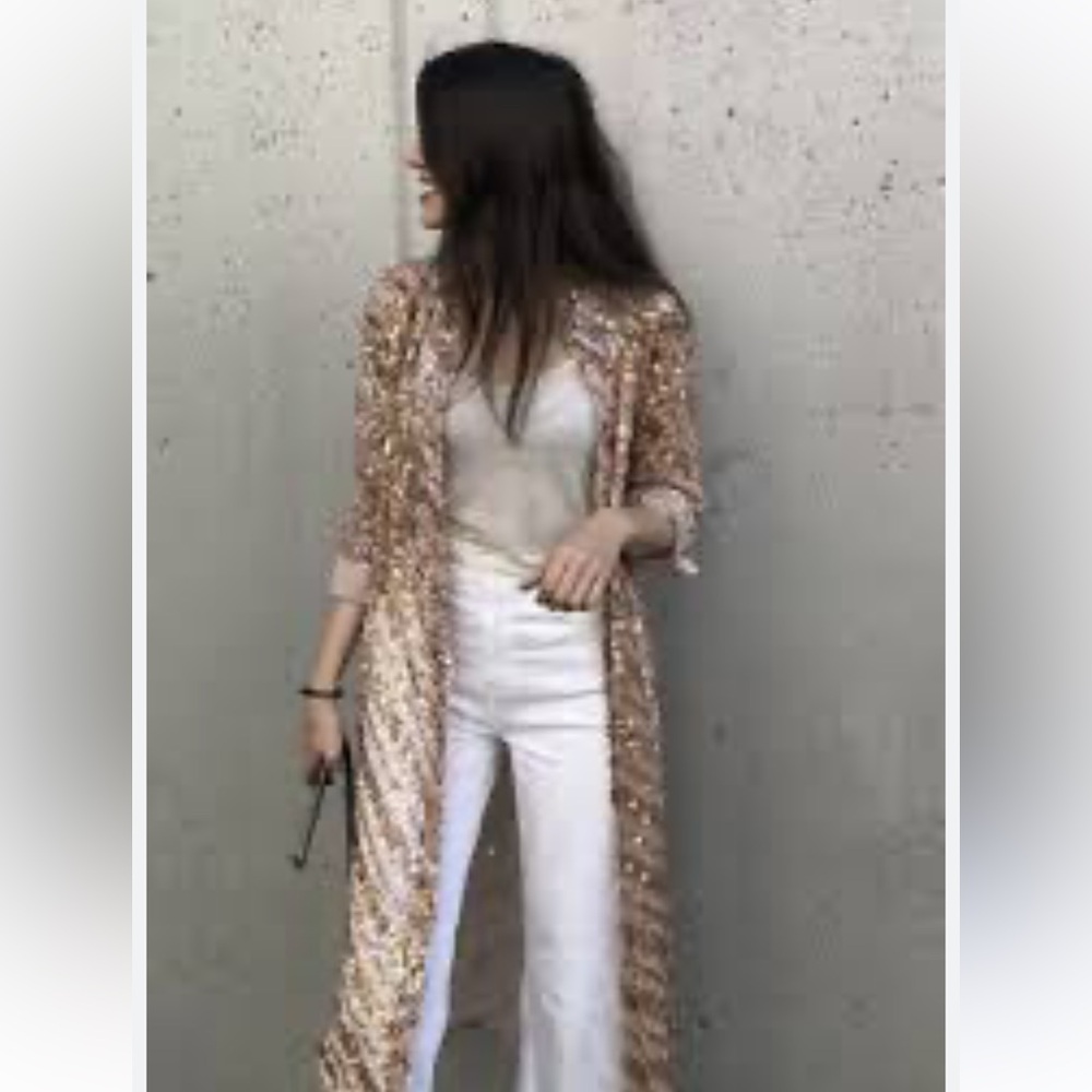 ZARA BUTTON DOWN SEQUINED SHEER DRESS